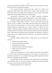 Trumpalaikio finansavimo galimybės 13 puslapis