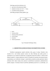 Trumpalaikio finansavimo galimybės 16 puslapis