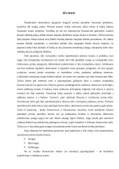 Trumpalaikio finansavimo galimybės 18 puslapis