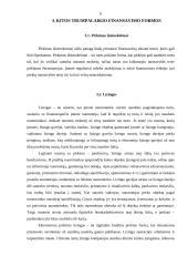 Trumpalaikio finansavimo galimybės 5 puslapis