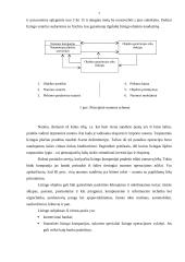 Trumpalaikio finansavimo galimybės 6 puslapis