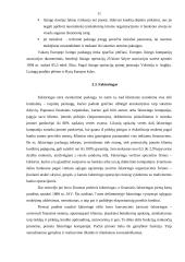 Trumpalaikio finansavimo galimybės 10 puslapis