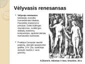 Skaidrės ,, Renesansas '' 8 puslapis