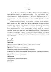 Gaisrinės saugos dokumentacijos rengimas, derinimas, tvirtinimas 2 puslapis