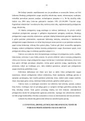 Gaisrinės saugos dokumentacijos rengimas, derinimas, tvirtinimas 13 puslapis