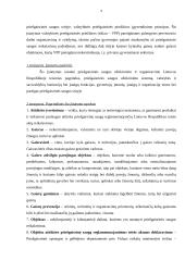 Gaisrinės saugos dokumentacijos rengimas, derinimas, tvirtinimas 9 puslapis