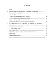 Moterų patyrusių smurtą šeimoje psicholosocoalinės problemos. Diplominis darbas 2 puslapis