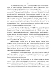 Moterų patyrusių smurtą šeimoje psicholosocoalinės problemos. Diplominis darbas 20 puslapis