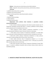 Moterų patyrusių smurtą šeimoje psicholosocoalinės problemos. Diplominis darbas 4 puslapis