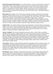 Lietuvių autorių intepretacijų įžangos 2 puslapis