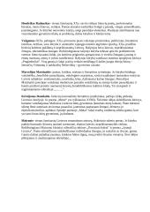 Poetų interpretacijų įžangos