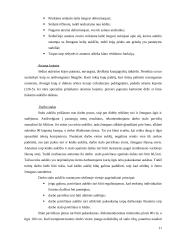 Buhalterinės darbo vietos ergonominiai reikalavimai 11 puslapis