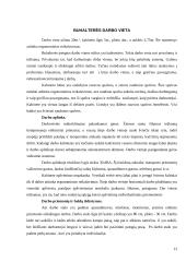 Buhalterinės darbo vietos ergonominiai reikalavimai 13 puslapis
