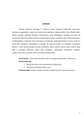 Buhalterinės darbo vietos ergonominiai reikalavimai 3 puslapis
