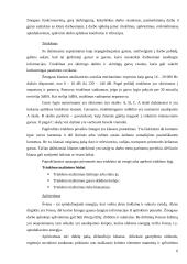 Buhalterinės darbo vietos ergonominiai reikalavimai 6 puslapis