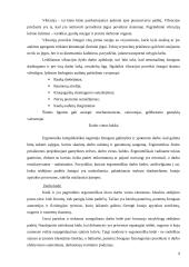 Buhalterinės darbo vietos ergonominiai reikalavimai 9 puslapis