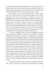 Savarankiškumo raiška Montessori ir valstybinio darželio grupėse 13 puslapis