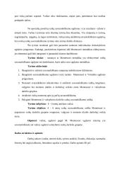 Savarankiškumo raiška Montessori ir valstybinio darželio grupėse 4 puslapis