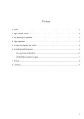 Genetinės augalų (sojos) modifikacijos 2 puslapis