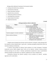  UAB „PIFAS“ gyvūnų viešbučio verslo planas 13 puslapis