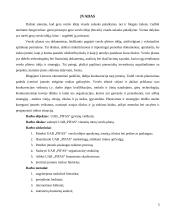  UAB „PIFAS“ gyvūnų viešbučio verslo planas 3 puslapis