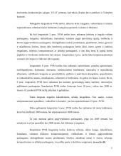 Pridėtinės vertės mokesčio privalumai ir trūkumai bei taikymo problemos ir jų spendimo būdai 11 puslapis