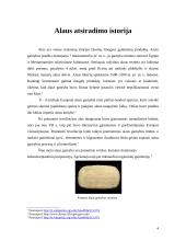 Alus - sveika 4 puslapis