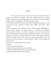 Sprendimo priėmimo procesas versle 2 puslapis