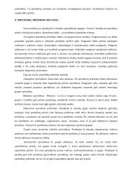 Sprendimo priėmimo procesas versle 11 puslapis