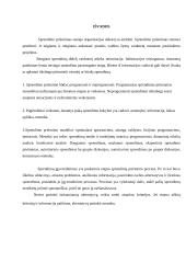 Sprendimo priėmimo procesas versle 13 puslapis