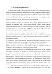 Sprendimo priėmimo procesas versle 6 puslapis