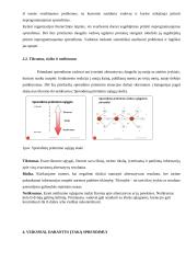 Sprendimo priėmimo procesas versle 9 puslapis