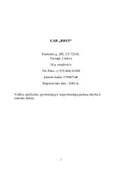 NT įmonės verslo planas 2 puslapis