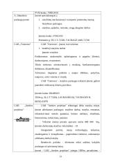 NT įmonės verslo planas 13 puslapis