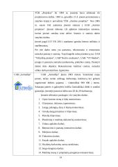 NT įmonės verslo planas 14 puslapis