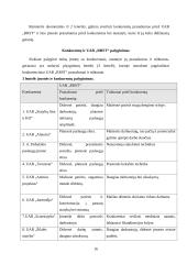 NT įmonės verslo planas 16 puslapis