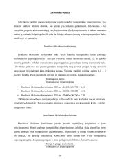 NT įmonės verslo planas 18 puslapis