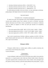 NT įmonės verslo planas 19 puslapis