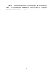 NT įmonės verslo planas 6 puslapis