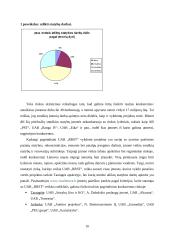 NT įmonės verslo planas 10 puslapis