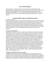 Fizinis kapitalas 4 puslapis