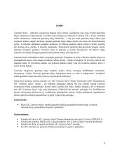 AB„Lietuvos dujos“ įmonės gamybos išteklių produktyvumo analizė 3 puslapis