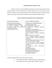 Draudimo sutartys 3 puslapis