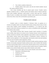 Draudimo sutartys 4 puslapis