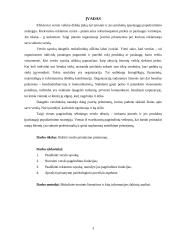 Verslo pristatymas 2 puslapis