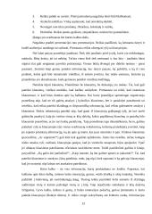 Verslo pristatymas 12 puslapis