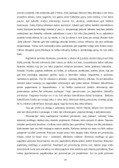 Verslo pristatymas 13 puslapis