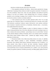 Verslo pristatymas 15 puslapis