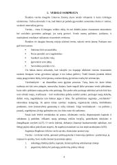 Verslo pristatymas 3 puslapis