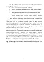 Verslo pristatymas 4 puslapis